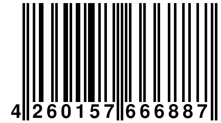 4 260157 666887