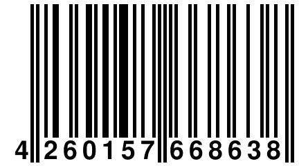 4 260157 668638