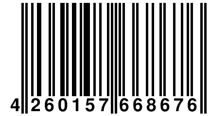 4 260157 668676