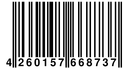 4 260157 668737