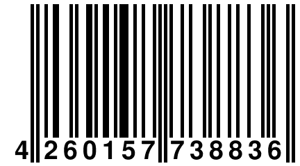 4 260157 738836