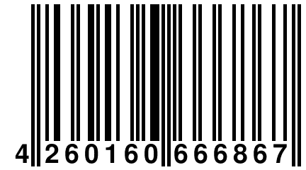 4 260160 666867