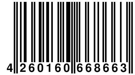 4 260160 668663