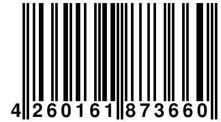 4 260161 873660