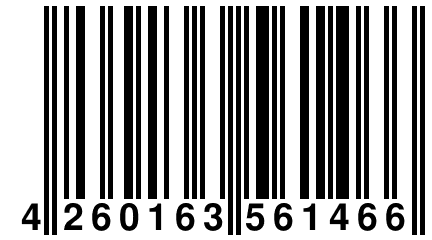 4 260163 561466