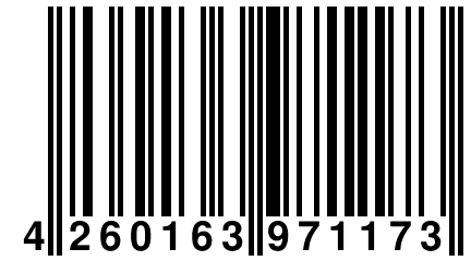 4 260163 971173