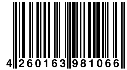 4 260163 981066