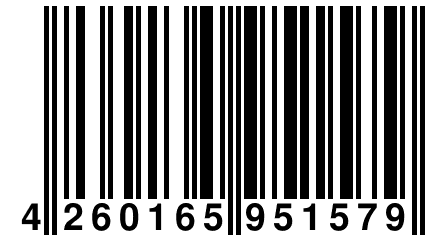 4 260165 951579