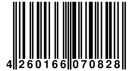 4 260166 070828