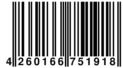 4 260166 751918