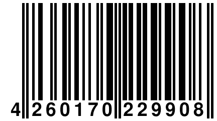 4 260170 229908