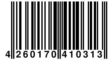 4 260170 410313