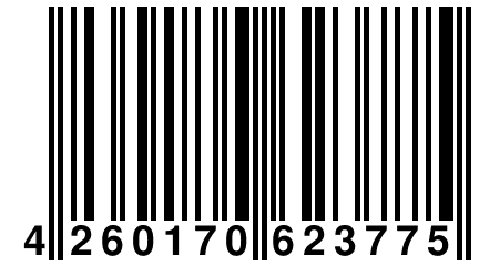 4 260170 623775