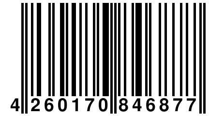 4 260170 846877