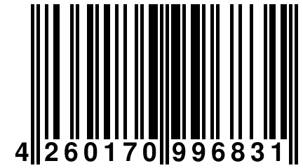 4 260170 996831