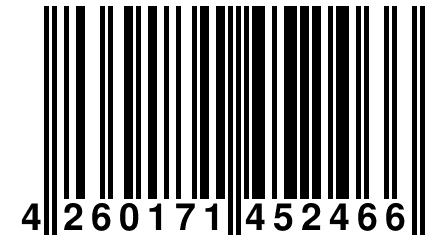 4 260171 452466