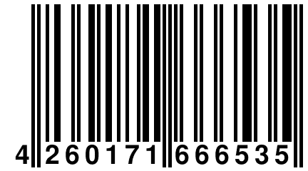 4 260171 666535