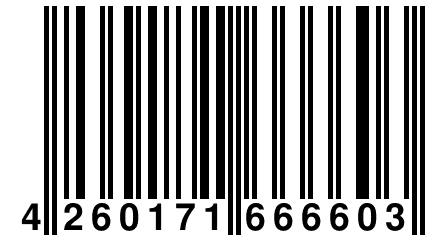 4 260171 666603