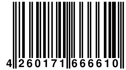 4 260171 666610