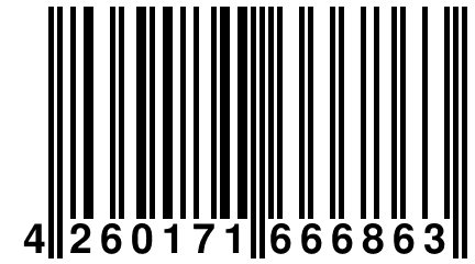 4 260171 666863