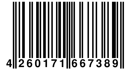 4 260171 667389