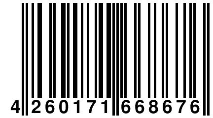 4 260171 668676