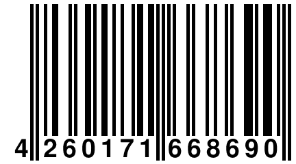 4 260171 668690