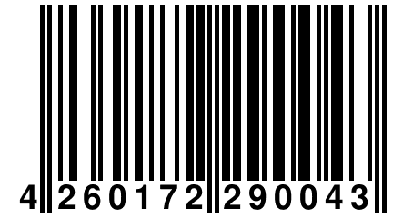 4 260172 290043