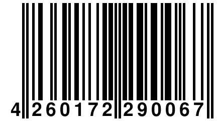 4 260172 290067