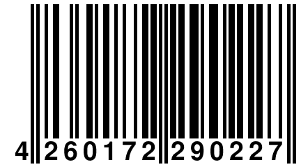 4 260172 290227