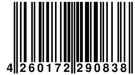 4 260172 290838