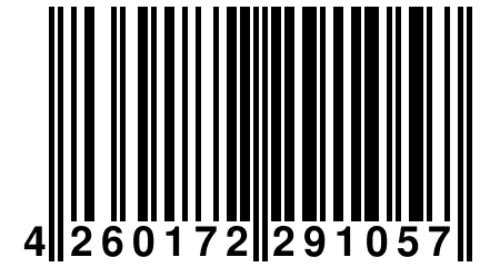 4 260172 291057