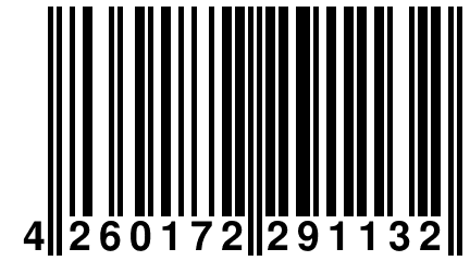 4 260172 291132