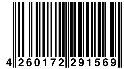 4 260172 291569