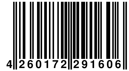 4 260172 291606