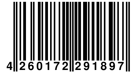 4 260172 291897