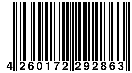 4 260172 292863