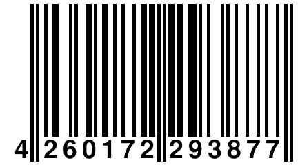 4 260172 293877