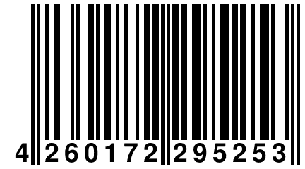 4 260172 295253