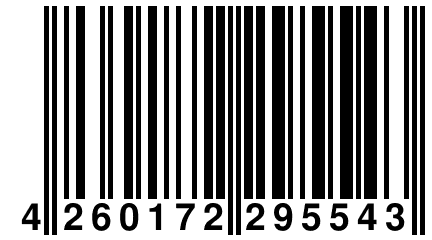 4 260172 295543