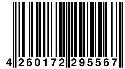 4 260172 295567