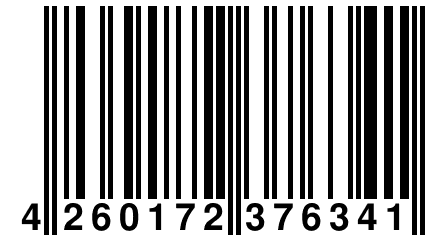 4 260172 376341