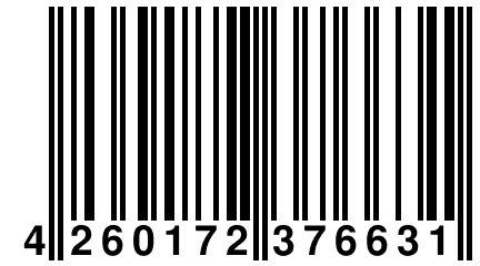 4 260172 376631