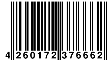 4 260172 376662