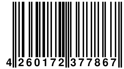 4 260172 377867