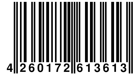 4 260172 613613