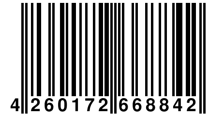 4 260172 668842