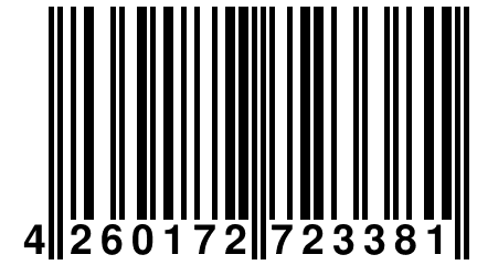 4 260172 723381