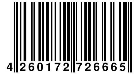 4 260172 726665