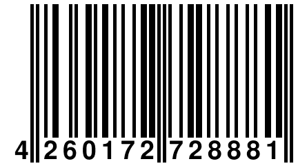 4 260172 728881